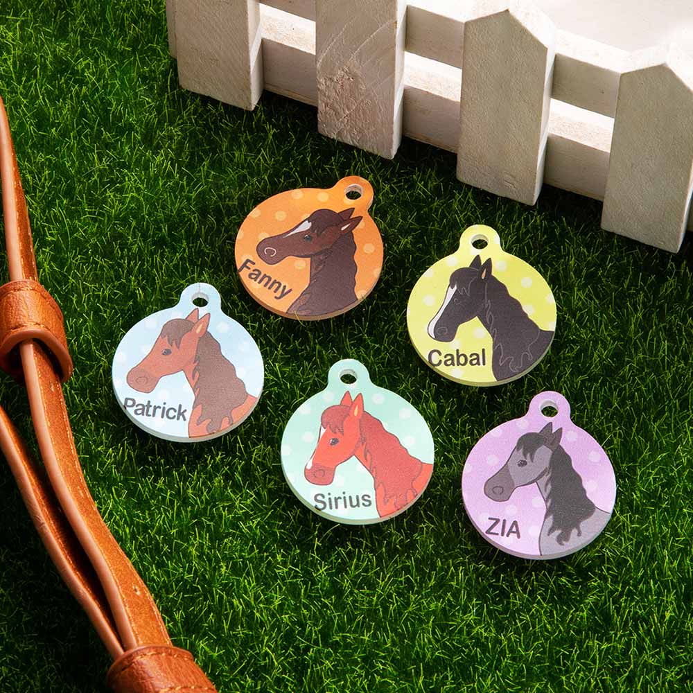 Customized Equestrian Horse ID Tag, Keychain, Pendant, Key Holder with Name