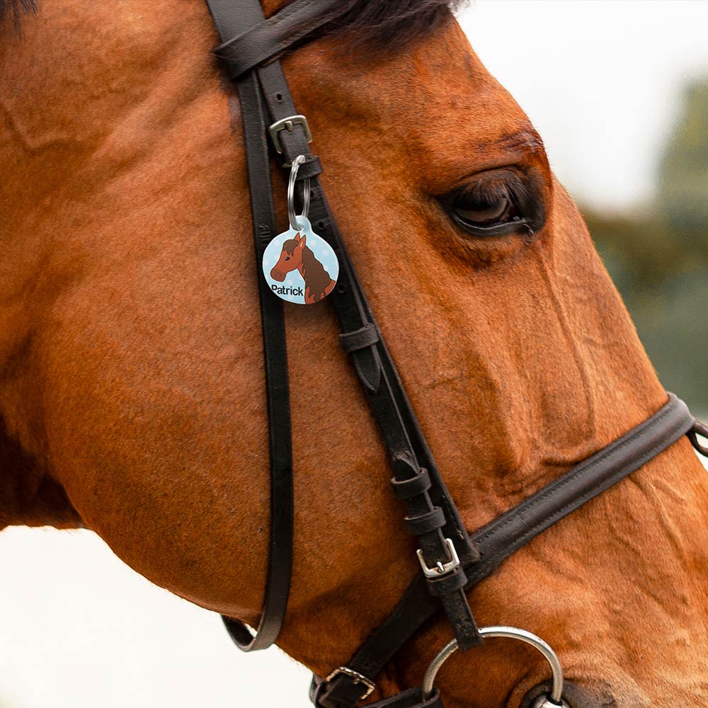 Customized Equestrian Horse ID Tag, Keychain, Pendant, Key Holder with Name