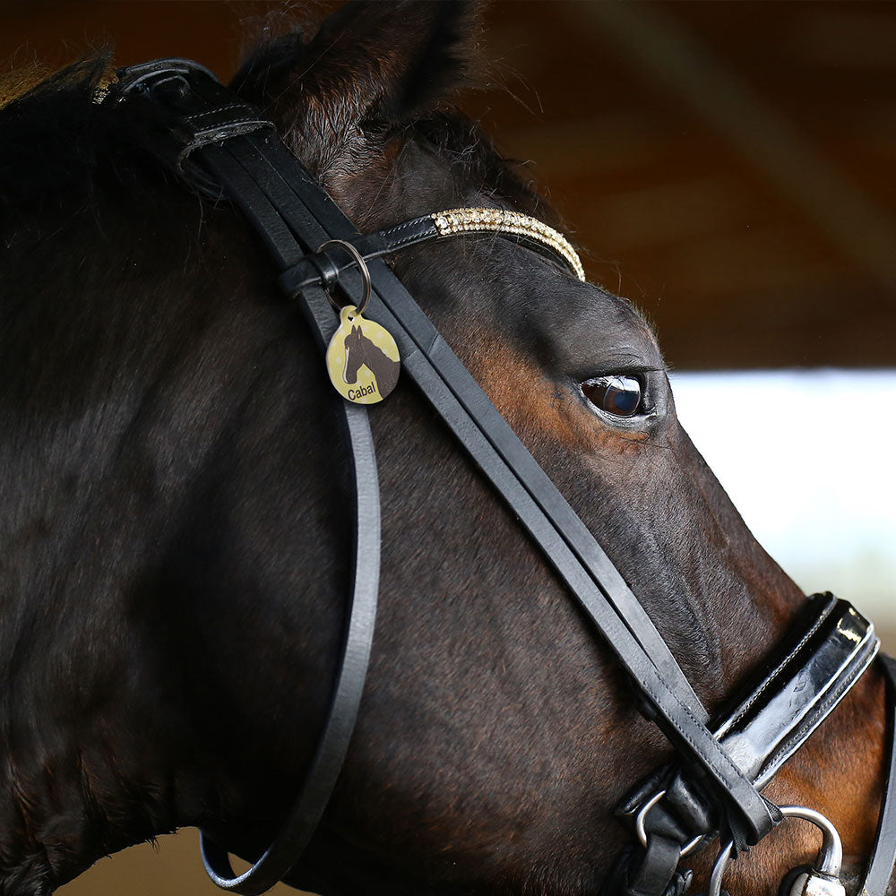 Customized Equestrian Horse ID Tag, Keychain, Pendant, Key Holder with Name