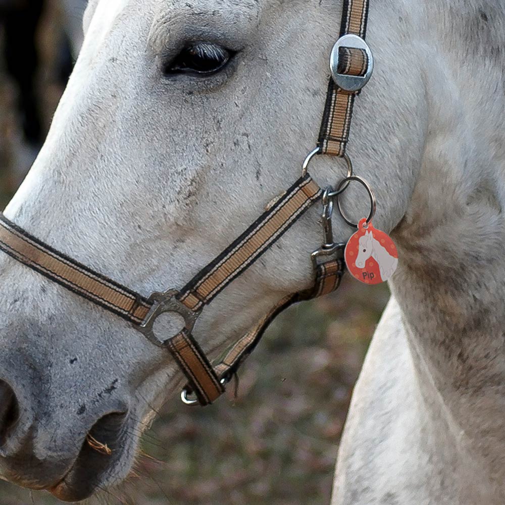 Customized Equestrian Horse ID Tag, Keychain, Pendant, Key Holder with Name